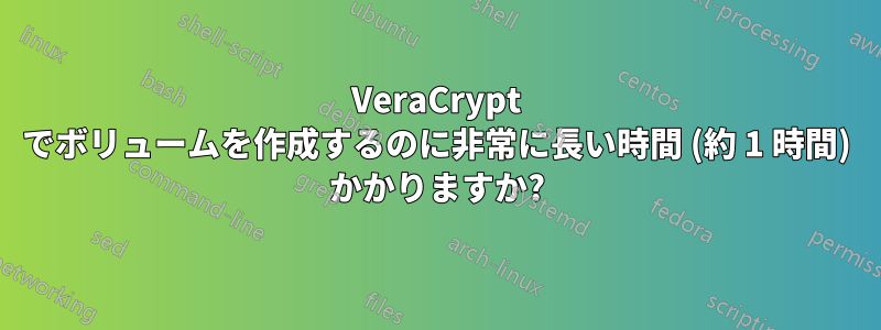 VeraCrypt でボリュームを作成するのに非常に長い時間 (約 1 時間) かかりますか?