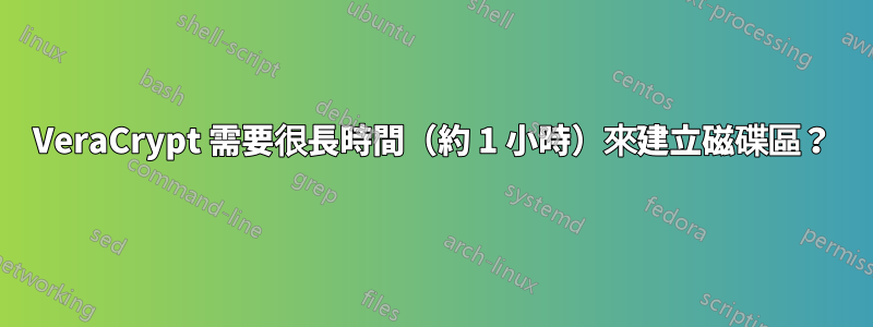 VeraCrypt 需要很長時間（約 1 小時）來建立磁碟區？