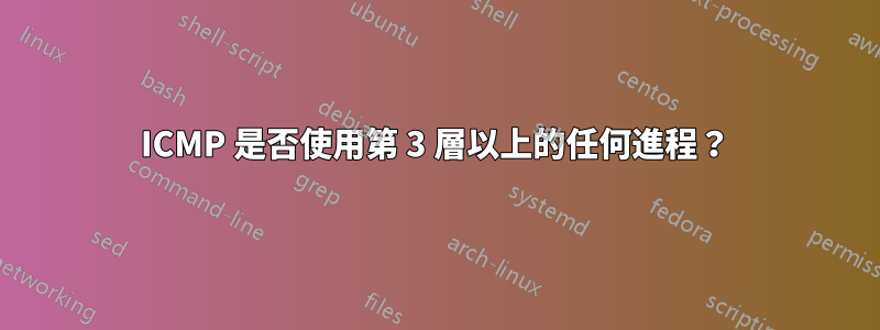 ICMP 是否使用第 3 層以上的任何進程？