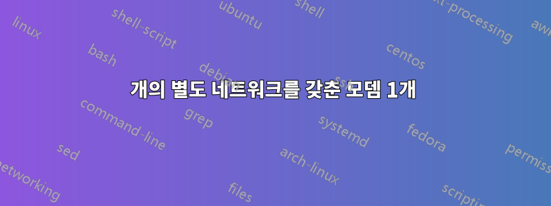 3개의 별도 네트워크를 갖춘 모뎀 1개