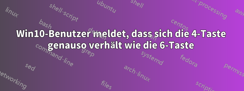 Win10-Benutzer meldet, dass sich die 4-Taste genauso verhält wie die 6-Taste