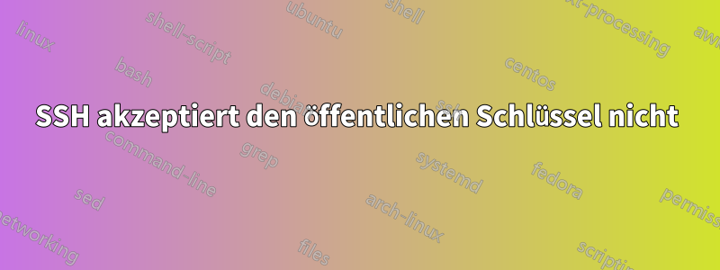 SSH akzeptiert den öffentlichen Schlüssel nicht