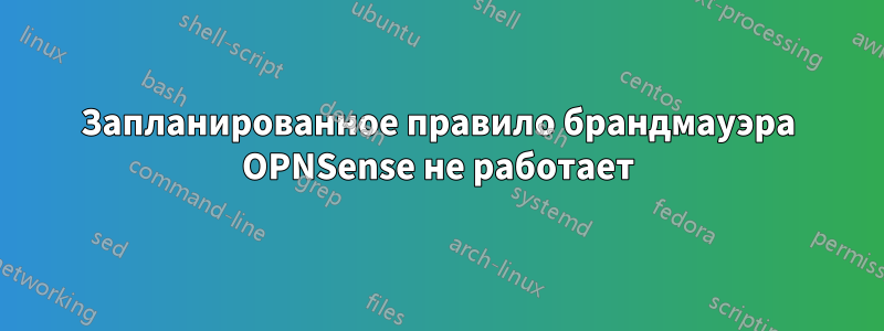 Запланированное правило брандмауэра OPNSense не работает