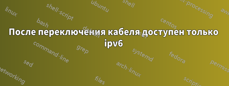 После переключения кабеля доступен только ipv6