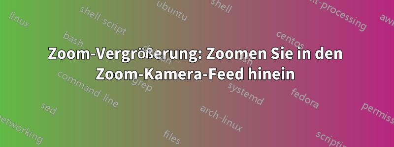 Zoom-Vergrößerung: Zoomen Sie in den Zoom-Kamera-Feed hinein