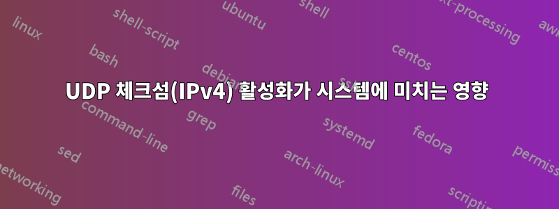 UDP 체크섬(IPv4) 활성화가 시스템에 미치는 영향