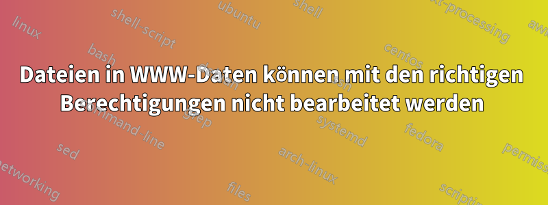 Dateien in WWW-Daten können mit den richtigen Berechtigungen nicht bearbeitet werden