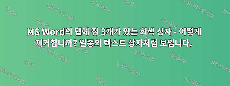 MS Word의 탭에 점 3개가 있는 회색 상자 - 어떻게 제거합니까? 일종의 텍스트 상자처럼 보입니다.