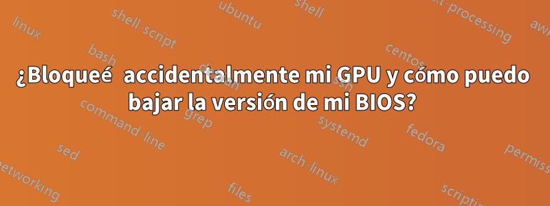 ¿Bloqueé accidentalmente mi GPU y cómo puedo bajar la versión de mi BIOS?