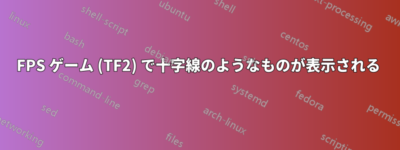 FPS ゲーム (TF2) で十字線のようなものが表示される