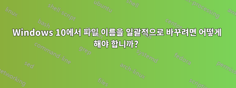 Windows 10에서 파일 이름을 일괄적으로 바꾸려면 어떻게 해야 합니까? 