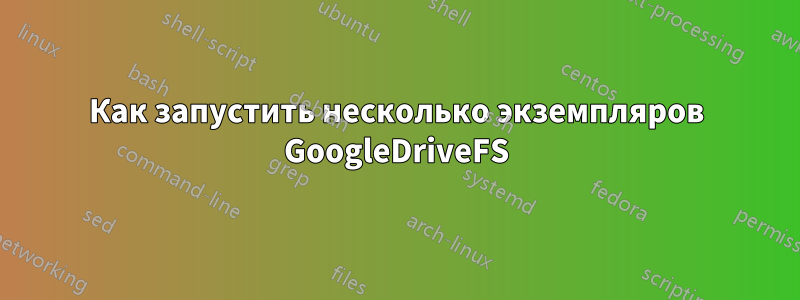 Как запустить несколько экземпляров GoogleDriveFS