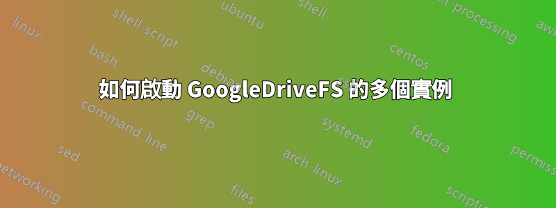 如何啟動 GoogleDriveFS 的多個實例