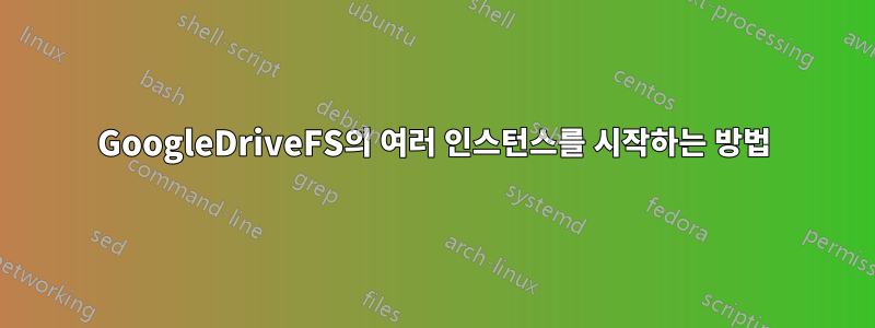 GoogleDriveFS의 여러 인스턴스를 시작하는 방법