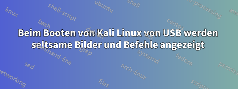 Beim Booten von Kali Linux von USB werden seltsame Bilder und Befehle angezeigt