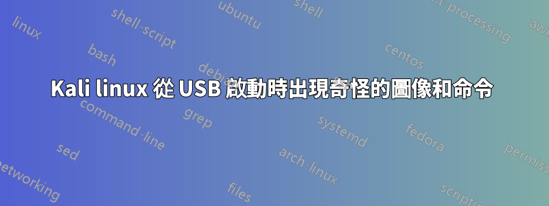 Kali linux 從 USB 啟動時出現奇怪的圖像和命令