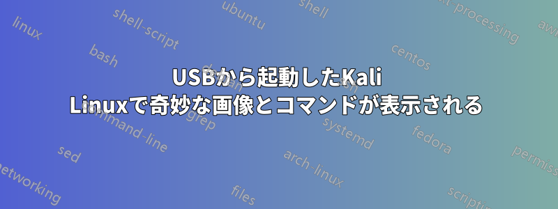 USBから起動したKali Linuxで奇妙な画像とコマンドが表示される