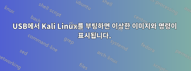 USB에서 Kali Linux를 부팅하면 이상한 이미지와 명령이 표시됩니다.