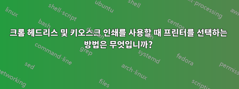 크롬 헤드리스 및 키오스크 인쇄를 사용할 때 프린터를 선택하는 방법은 무엇입니까?