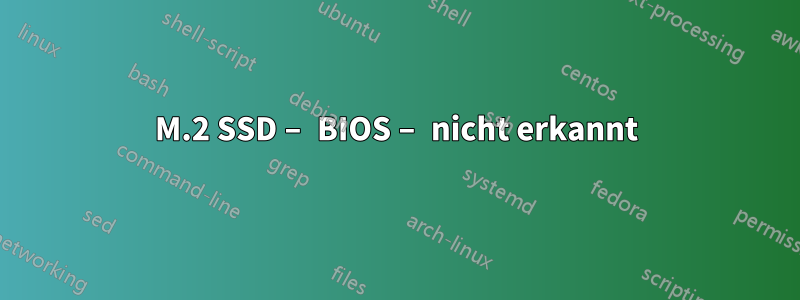 M.2 SSD – BIOS – nicht erkannt