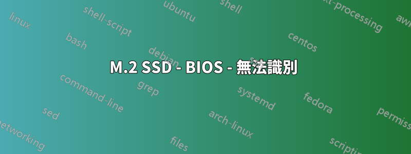 M.2 SSD - BIOS - 無法識別