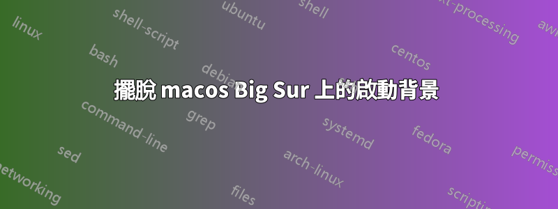 擺脫 macos Big Sur 上的啟動背景