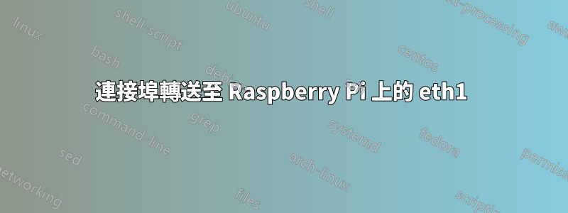 連接埠轉送至 Raspberry Pi 上的 eth1