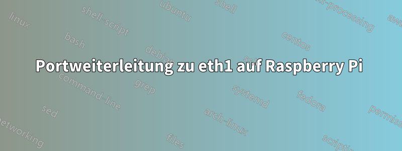 Portweiterleitung zu eth1 auf Raspberry Pi