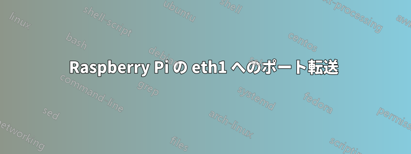 Raspberry Pi の eth1 へのポート転送