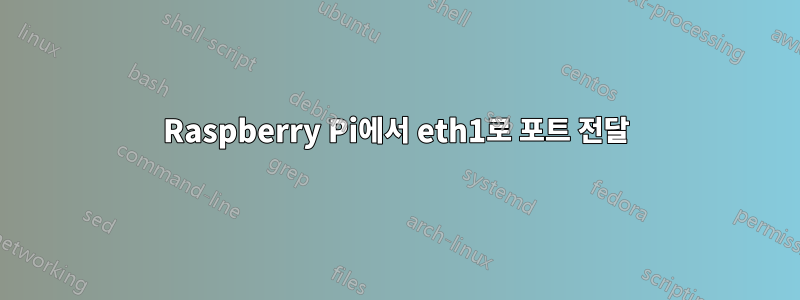 Raspberry Pi에서 eth1로 포트 전달