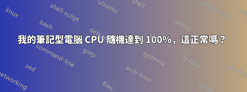 我的筆記型電腦 CPU 隨機達到 100%，這正常嗎？