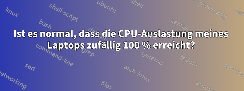 Ist es normal, dass die CPU-Auslastung meines Laptops zufällig 100 % erreicht?