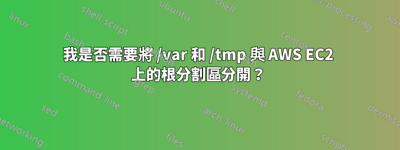 我是否需要將 /var 和 /tmp 與 AWS EC2 上的根分割區分開？