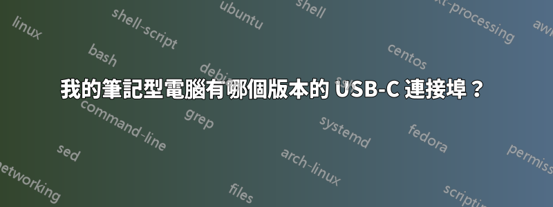 我的筆記型電腦有哪個版本的 USB-C 連接埠？