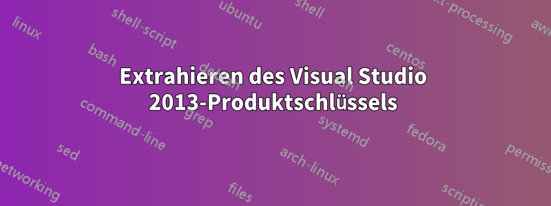 Extrahieren des Visual Studio 2013-Produktschlüssels