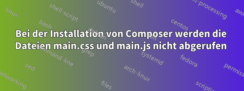 Bei der Installation von Composer werden die Dateien main.css und main.js nicht abgerufen