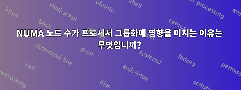 NUMA 노드 수가 프로세서 그룹화에 영향을 미치는 이유는 무엇입니까?