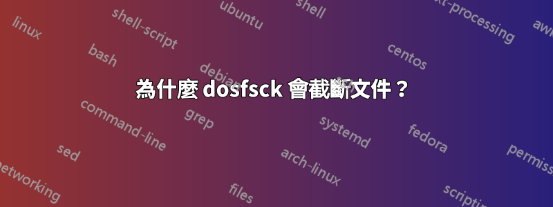 為什麼 dosfsck 會截斷文件？