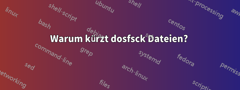 Warum kürzt dosfsck Dateien?