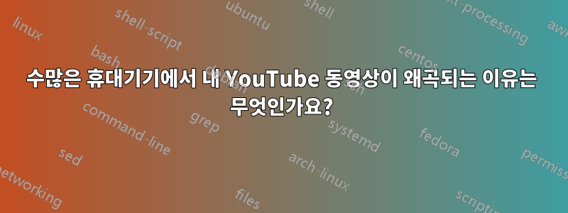 수많은 휴대기기에서 내 YouTube 동영상이 왜곡되는 이유는 무엇인가요?