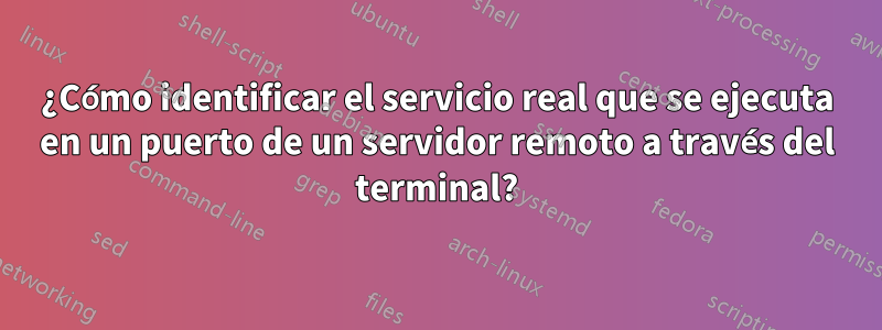 ¿Cómo identificar el servicio real que se ejecuta en un puerto de un servidor remoto a través del terminal?