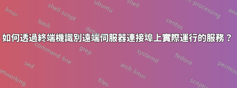 如何透過終端機識別遠端伺服器連接埠上實際運行的服務？