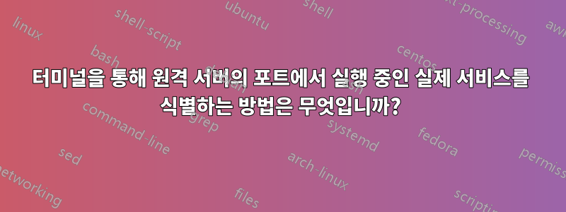 터미널을 통해 원격 서버의 포트에서 실행 중인 실제 서비스를 식별하는 방법은 무엇입니까?