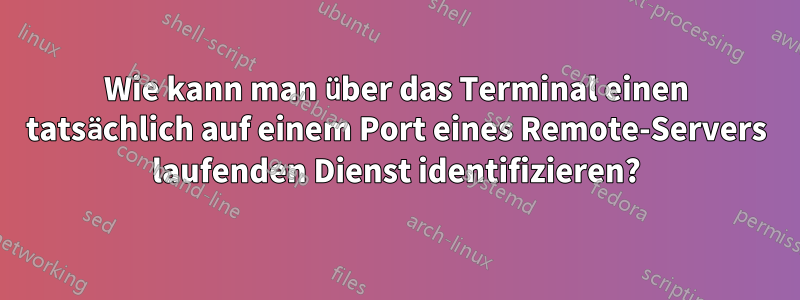 Wie kann man über das Terminal einen tatsächlich auf einem Port eines Remote-Servers laufenden Dienst identifizieren?