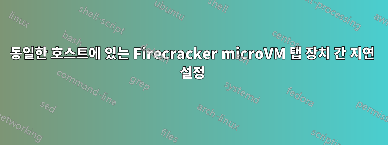 동일한 호스트에 있는 Firecracker microVM 탭 장치 간 지연 설정