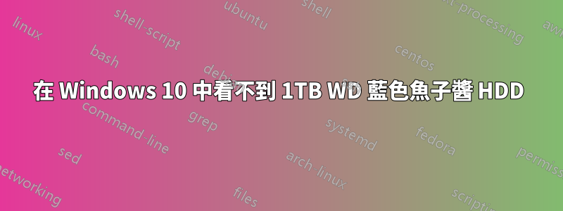 在 Windows 10 中看不到 1TB WD 藍色魚子醬 HDD