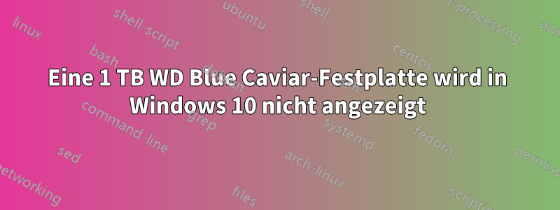Eine 1 TB WD Blue Caviar-Festplatte wird in Windows 10 nicht angezeigt