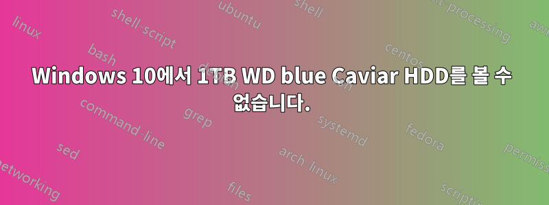 Windows 10에서 1TB WD blue Caviar HDD를 볼 수 없습니다.
