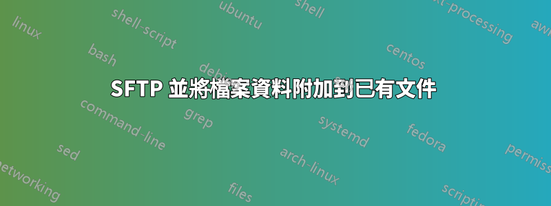 SFTP 並將檔案資料附加到已有文件