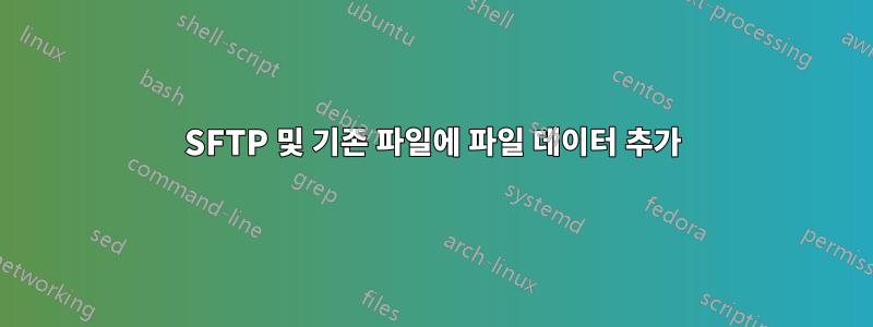 SFTP 및 기존 파일에 파일 데이터 추가